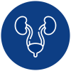 Urologie