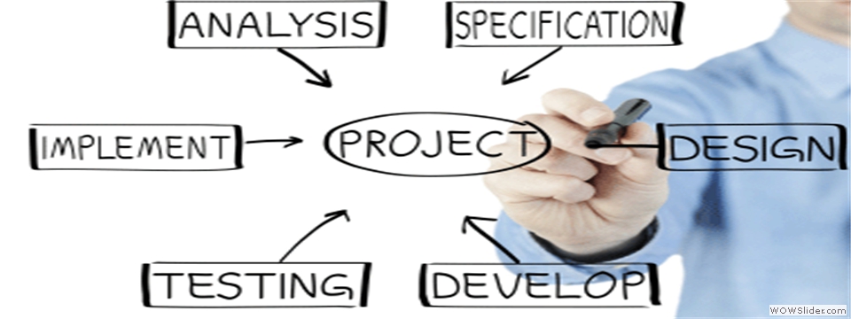 IT Project Management